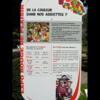 Origine des couleurs